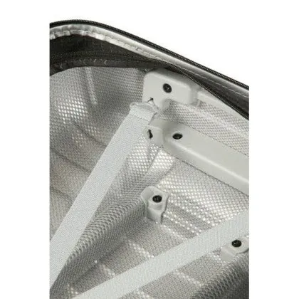 Koffer Samsonite Proxis (silber, L) (204030023)